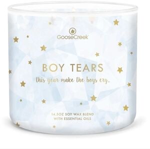 Goose Creek Boy Tears 3 Wick Candle